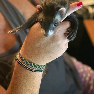 Meet your Posher, Jennifer